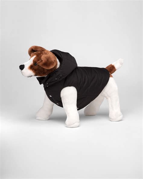 prada puffer jacket dog|prada puffer jacket farfetch.